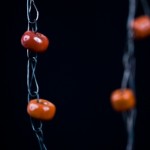 _MG_8687