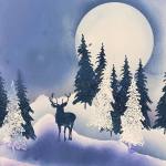 152970571_10219982007553629_4746190241458960703_n