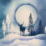 153383957_10219982007153619_3579122426336917836_n