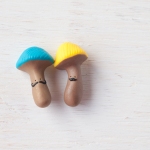 mushroom_ethnic3