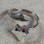 15875474_10209130648636438_3094007379904084105_o